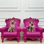 Queen of Love - Görsel 2